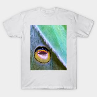 Luna moth wing eyespot T-Shirt